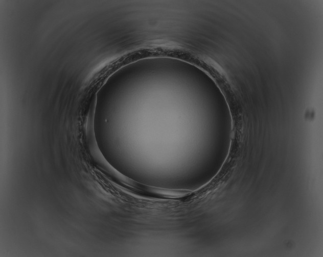 X0000091641112200708301353