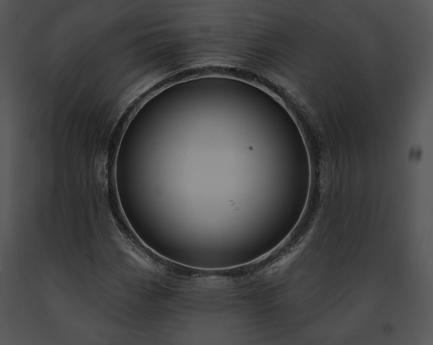X0000091641113200708301353