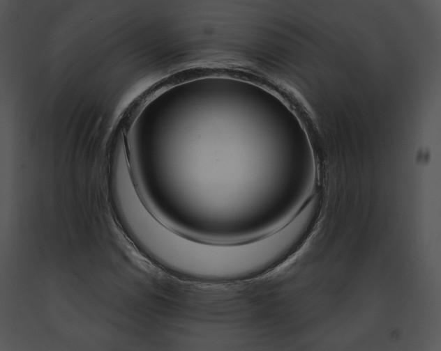 X0000091641114200708301353