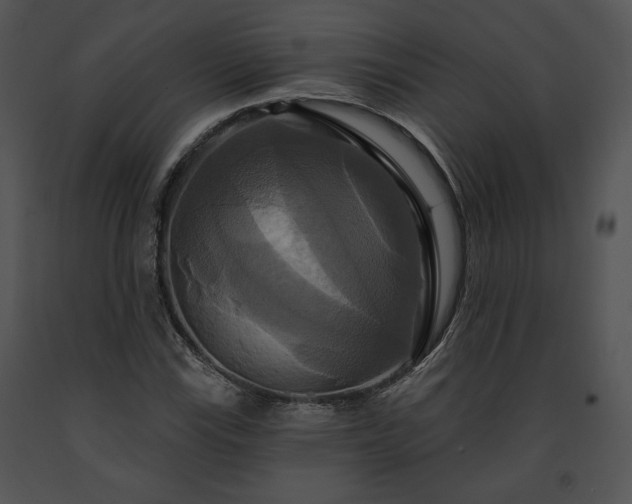 X0000091641115200708301353