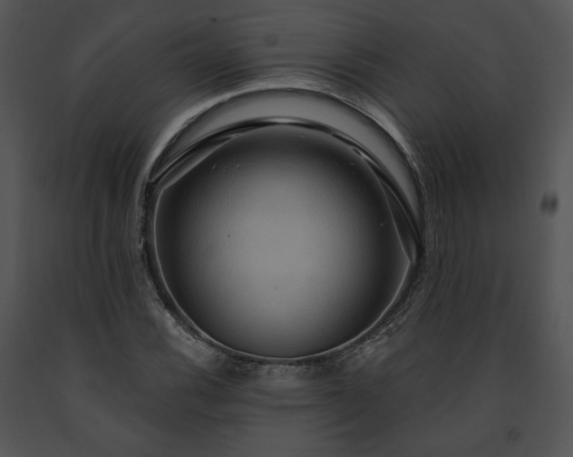 X0000091641116200708301353