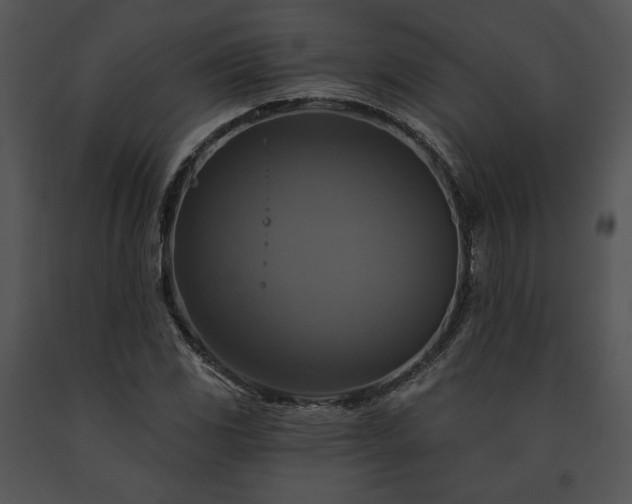 X0000091641117200708301353