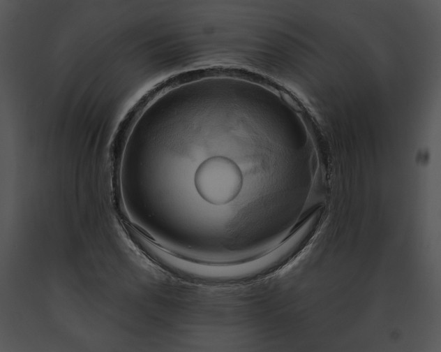 X0000091641118200708301353
