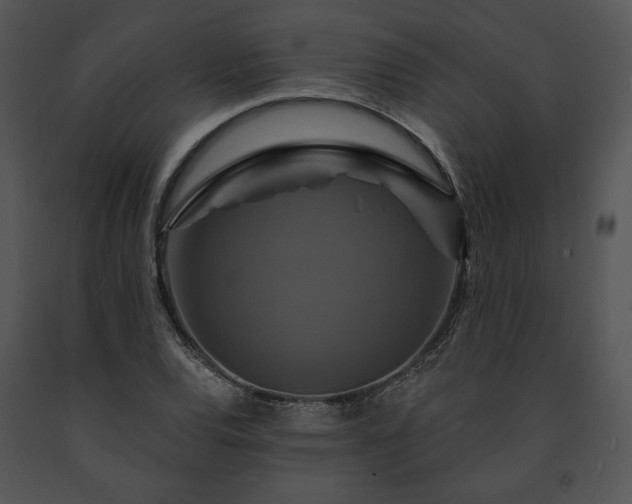 X0000091641120200708301353