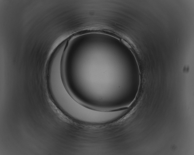 X0000091641122200708301353