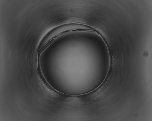 X0000091641123200708301353