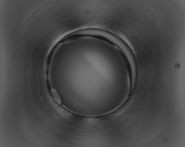 X0000091641124200708301353