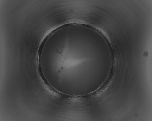 X0000091641125200708301353