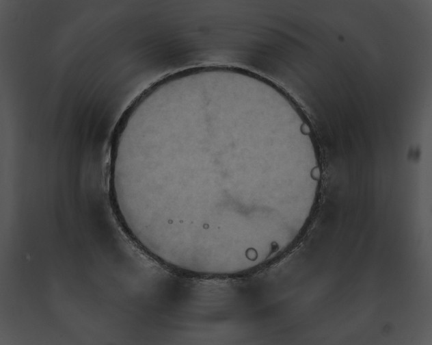 X0000091641126200708301353