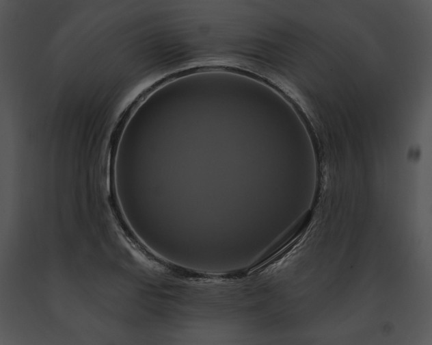 X0000091641127200708301353