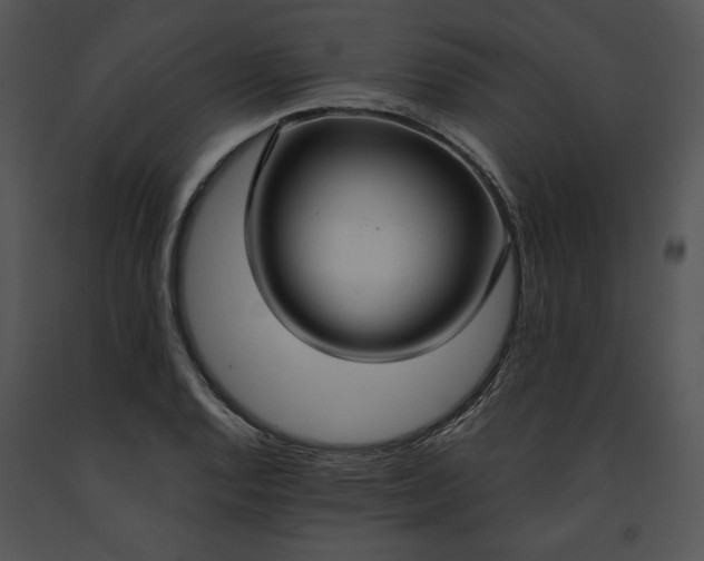 X0000091641128200708301353