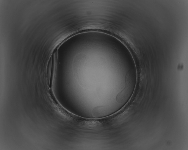 X0000091641129200708301353
