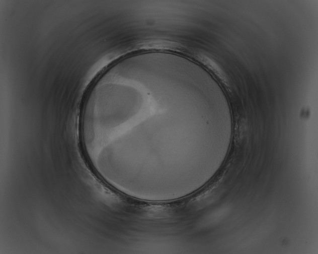 X0000091641130200708301353
