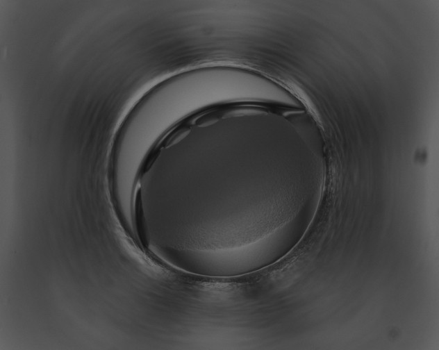 X0000091641132200708301353