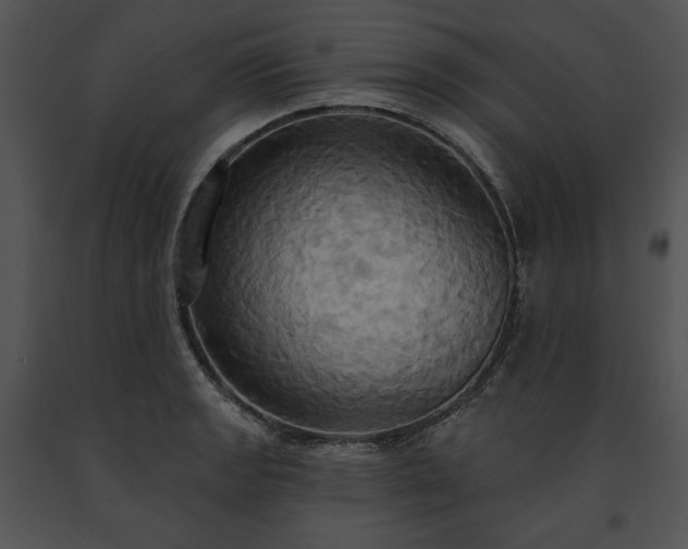 X0000091641133200708301353