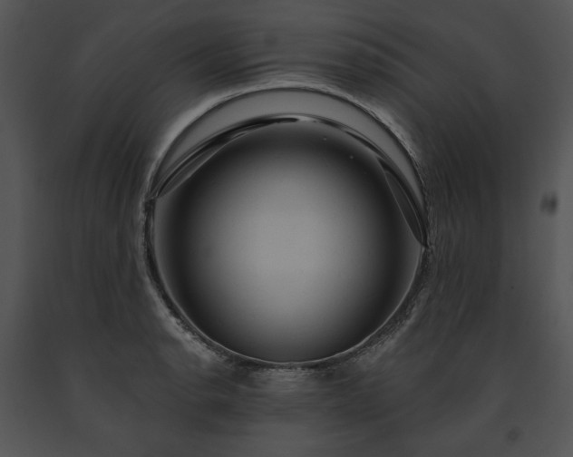 X0000091641134200708301353