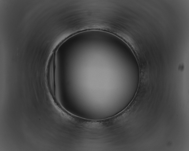 X0000091641135200708301353