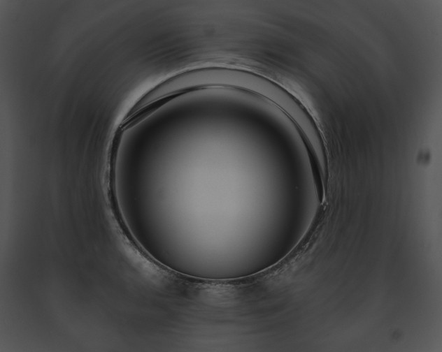 X0000091641136200708301353