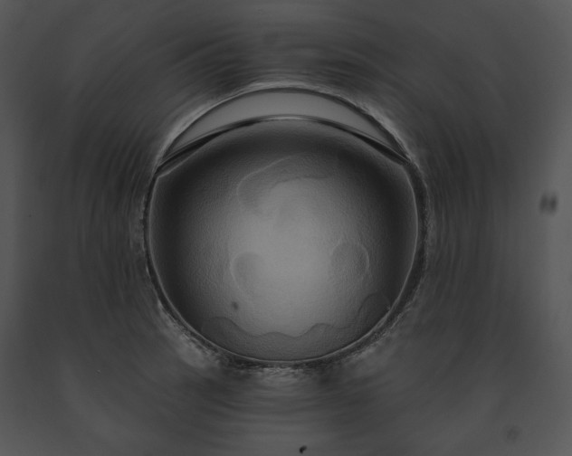 X0000091641137200708301353