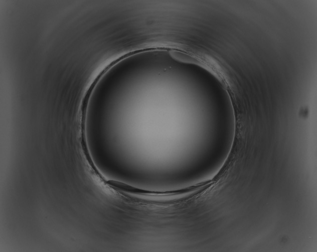 X0000091641140200708301353