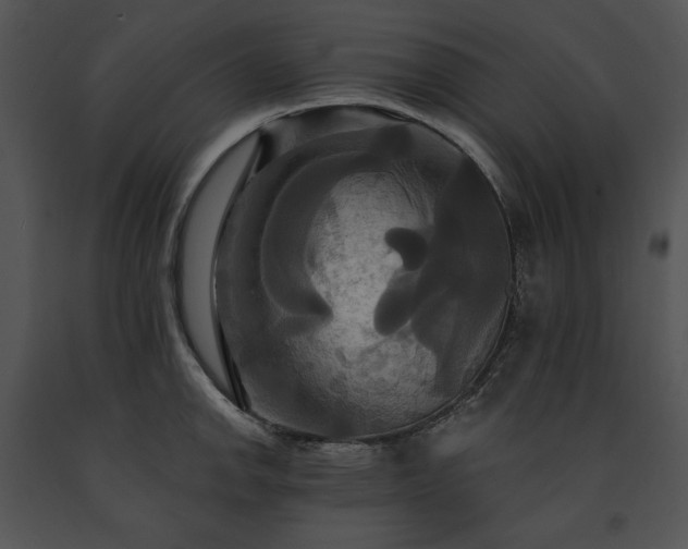 X0000091641142200708301353