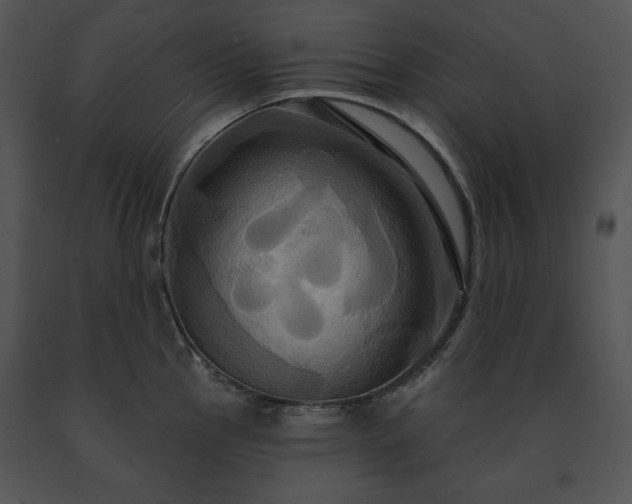 X0000091641145200708301353