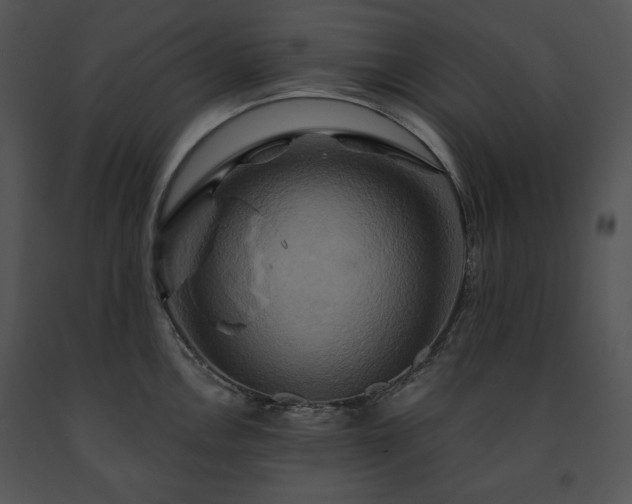 X0000091641146200708301353