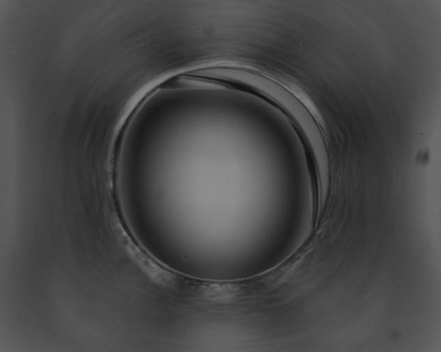 X0000091641148200708301353
