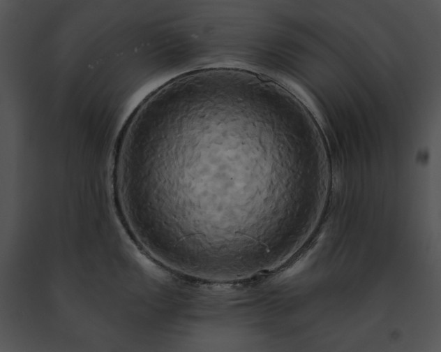 X0000091641149200708301353
