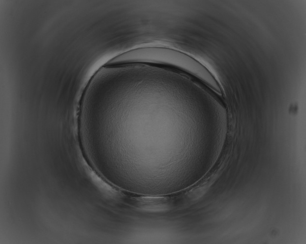 X0000091641151200708301353