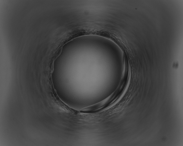 X0000091641153200708301352