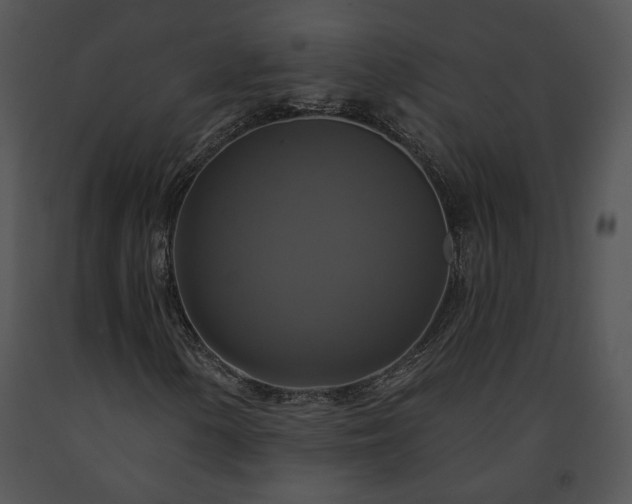 X0000091641154200708301352