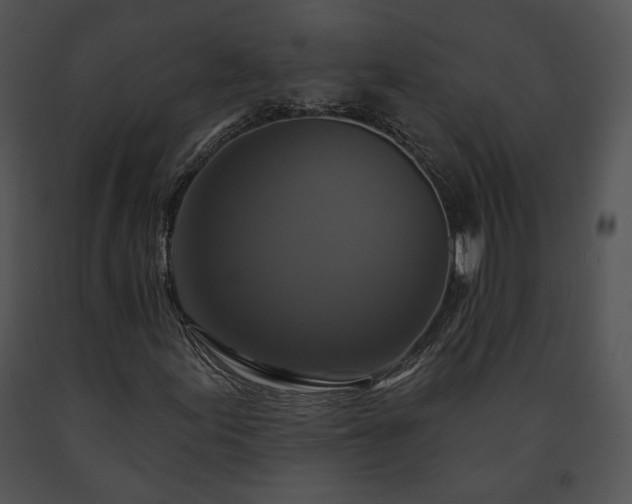 X0000091641155200708301352