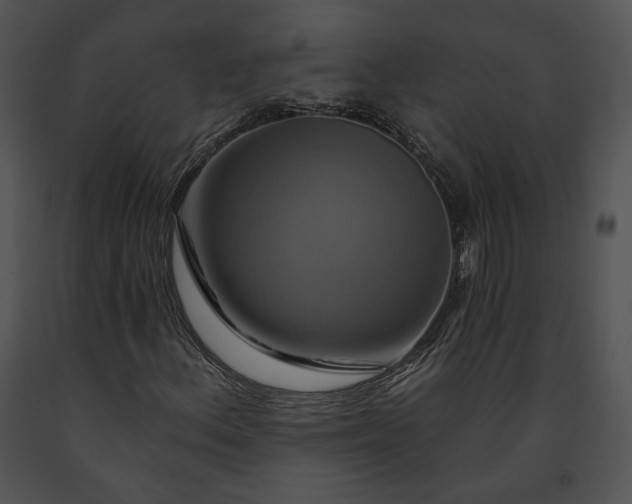 X0000091641156200708301352
