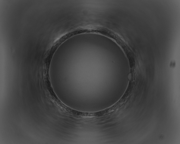 X0000091641158200708301352