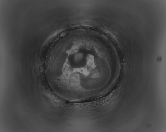 X0000091641159200708301352