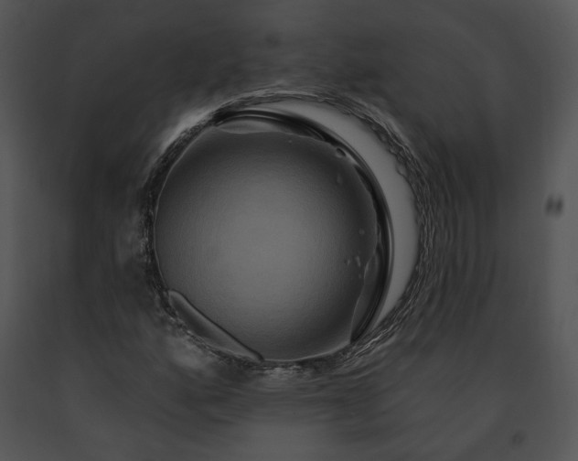 X0000091641160200708301352