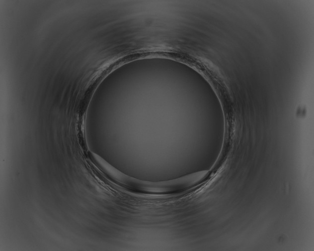 X0000091641161200708301352
