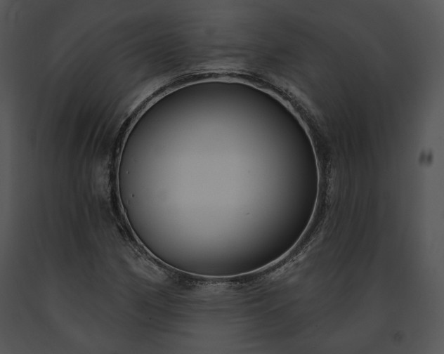 X0000091641162200708301352