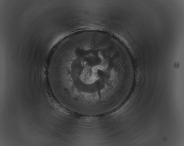X0000091641163200708301352