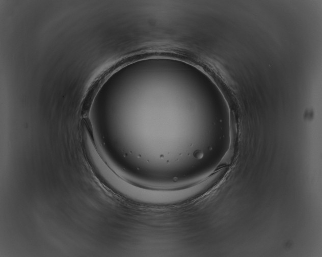 X0000091641164200708301352