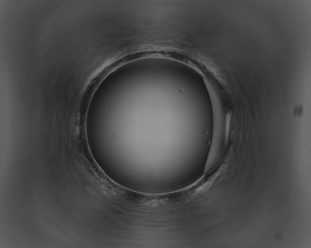 X0000091641165200708301352