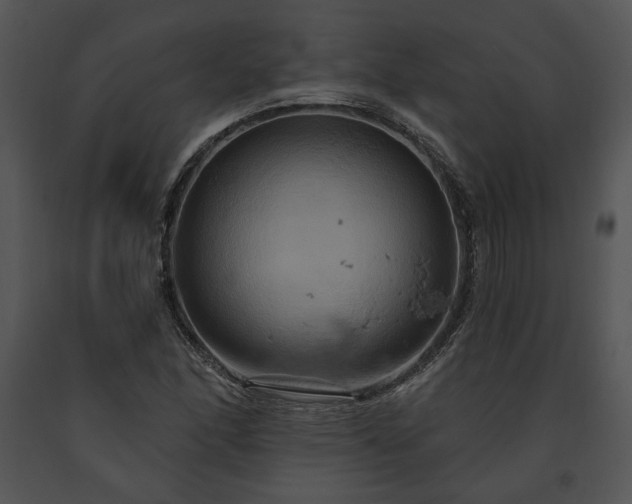 X0000091641166200708301352