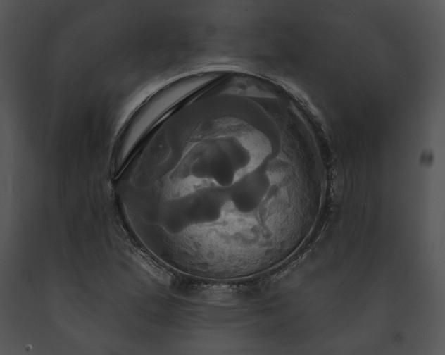 X0000091641167200708301352