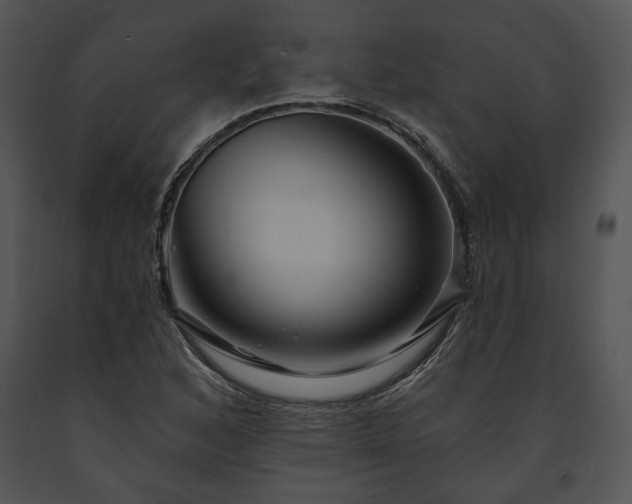 X0000091641168200708301352