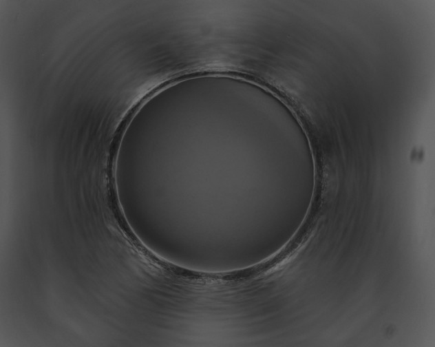 X0000091641170200708301352