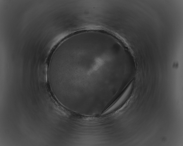 X0000091641171200708301352