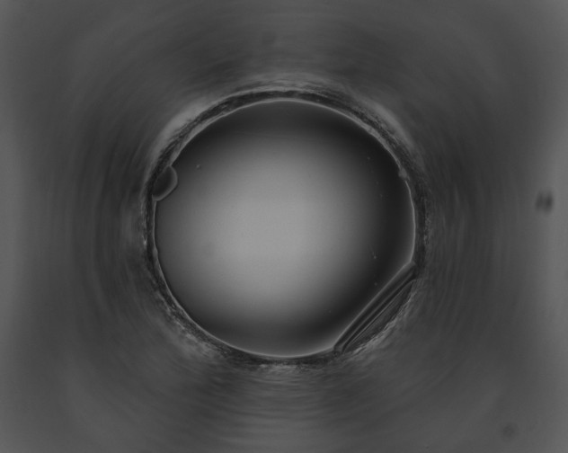 X0000091641172200708301352