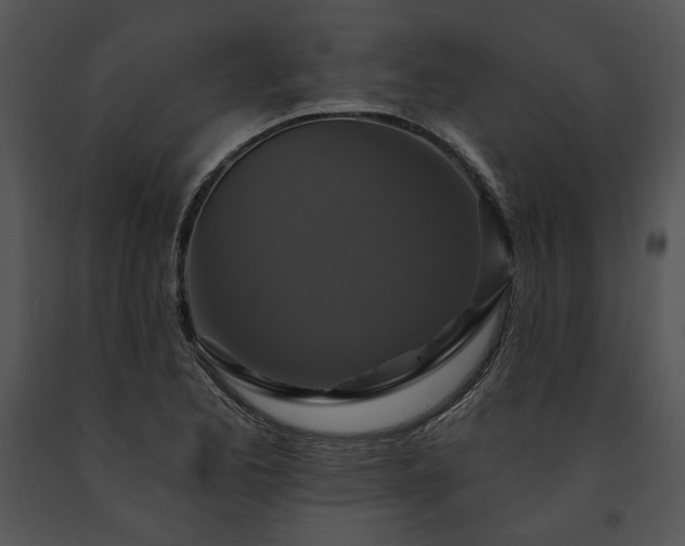 X0000091641173200708301352
