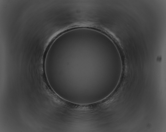 X0000091641174200708301352